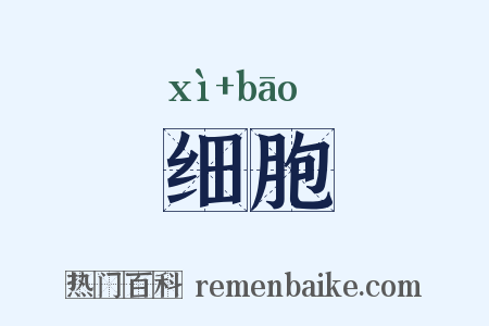 细胞是什么意思的图片